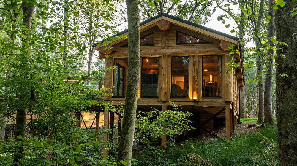 Treehouse Lodges | Treehouse Holidays | Dog Friendly